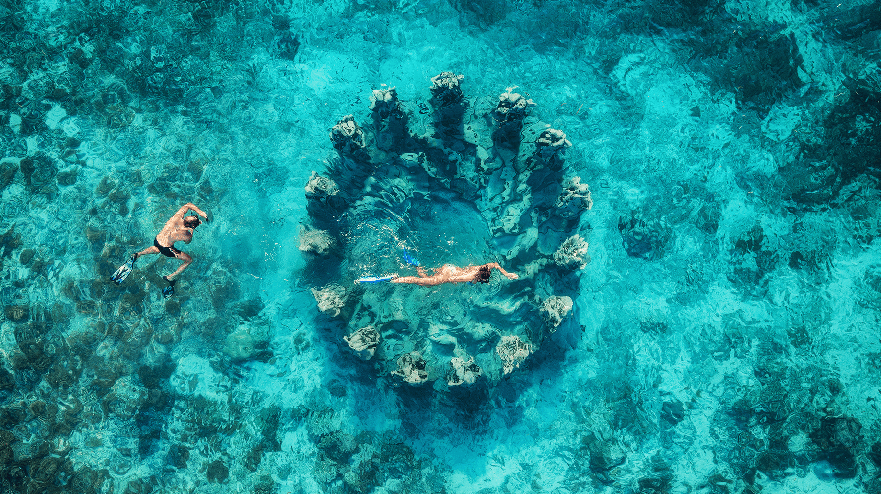 Affordable Dream Trips: Your Ticket to a Tropical Island Getaway - The Local Banyan