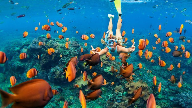 Unveiling Hawaii's Hidden Gems: A Journey Off the Beaten Path - The Local Banyan
