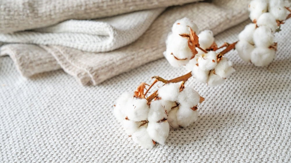 Sustainable Fabrics: What Makes Recycled Polyester and US Cotton Eco-Friendly? - The Local Banyan