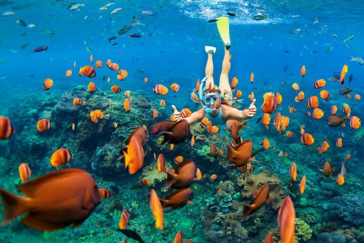 Unveiling Hawaii's Hidden Gems: A Journey Off the Beaten Path - The Local Banyan