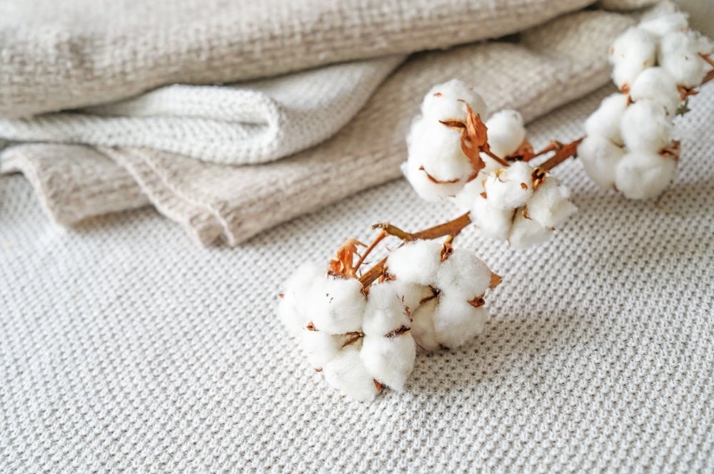 Sustainable Fabrics: What Makes Recycled Polyester and US Cotton Eco-Friendly? - The Local Banyan